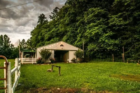 Tlea Farm Mountain Log Cab. 73 Acres of Trails and Horse Paddocks 2 Steams+Lake