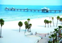 Tampa Bay Amazing home!