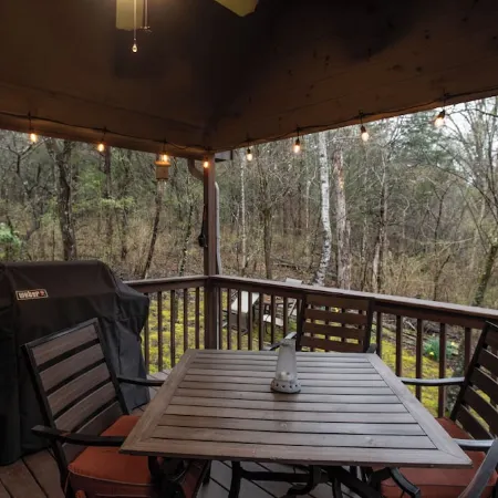 Cozy Pet Friendly Cabin in Townsend w/ TONS of privacy.  Sleeps 8.