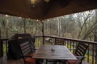 Cozy Pet Friendly Cabin in Townsend w/ TONS of privacy.  Sleeps 8.