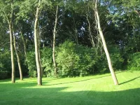 Holiday Home with Garden, pets allowed