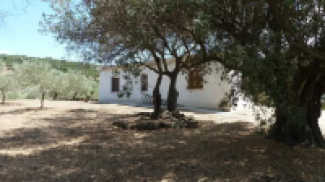 Sa Carruba - Typical rural house surrounded by greenery with panoramic views