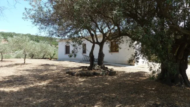 Sa Carruba - Typical rural house surrounded by greenery with panoramic views