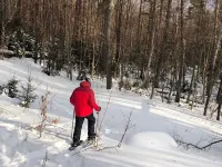 Sugarbush Tiny House/Cabin on 3.2 Acres at the base of Sugarbush-Mount Ellen Hotels in Fayston