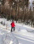 Sugarbush Tiny House/Cabin on 3.2 Acres at the base of Sugarbush-Mount Ellen