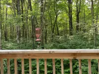 Quiet Sports Oasis-Wooded & Private Hotels in Lenroot