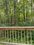 Quiet Sports Oasis-Wooded & Private