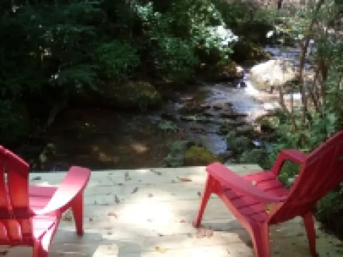 Tiny cabin by the creek