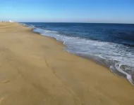 Breathtaking Ocean Front Condominium .  Fall weekends with the dog. - 3-نجوم