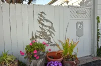 Magnificent Ocean views! On Oceano sandy beach with fire pit - 3-Star