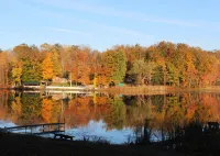 Stevens Lane New Log Cabin - Lamoka Lake - Just Steps from the Water's Edge.
