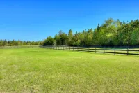 Mimosa Cottage Farm- 2br cottage & stalls. Masters