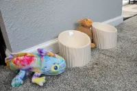 The Urban Oasis: Pet-friendly, Full Kitchen, Pool, Office Space! Hotels in Richland Hills