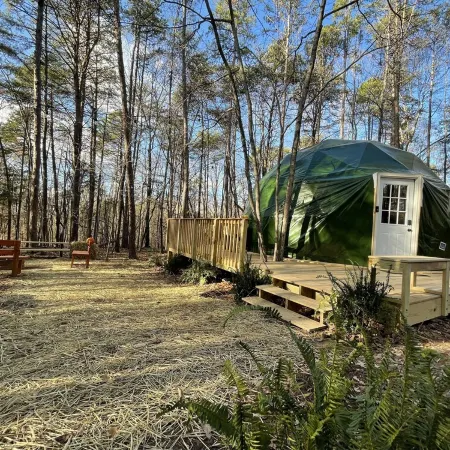 Charlotte Glamping Dome- Fawn and Fern Hideaway Отели в г. Стил Крик