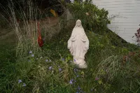 Spacious Serene Sanctuary-Minutes to SF / Muir Woods 밀밸리 쇼핑센터 주변 호텔