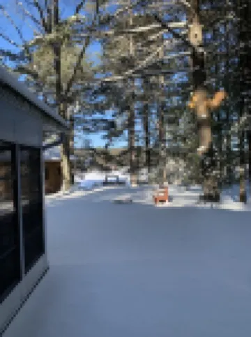 Comfy Cabin in the North Woods -Snowmobilers, Ice Fishing and Skiing