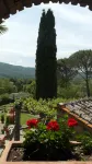 Tuscan Villa private infinity pool, exclusive location, AC, extra services