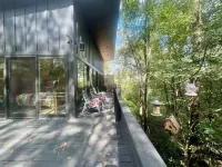 New Private Quiet Cabin~Mountain Forest View~Hot Tub~3 King Beds~Fire Pit~1 Acre