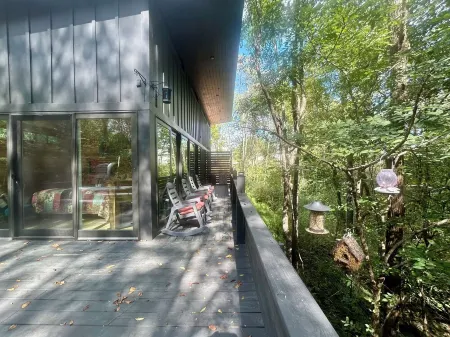 New Private Quiet Cabin~Mountain Forest View~Hot Tub~3 King Beds~Fire Pit~1 Acre