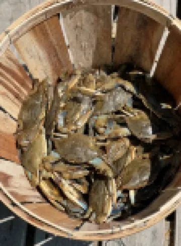 About Time! - Remote Waterfront Home with Dock - Sleeps 15-New EV Charger!