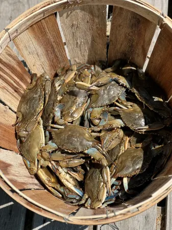 About Time! - Remote Waterfront Home with Dock - Sleeps 15-New EV Charger!