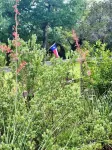 Remodeled Modern Farmhouse on acreage near ALL area attractions!!!