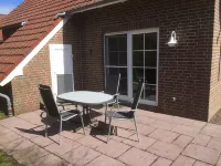 Holiday herring gull in Greetsiel