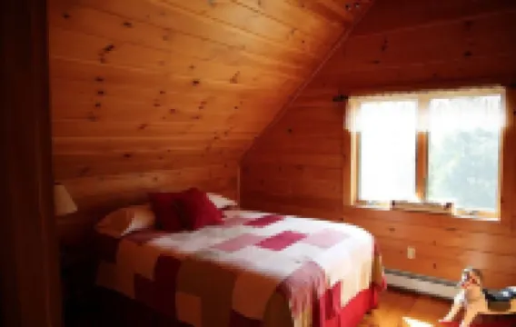 Stunning Catskills Cabin Getaway, facing BelleAyre