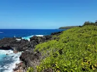 Tropical Paradise Getaway in Hawaiian Beaches, Pahoa, HI - Homestays