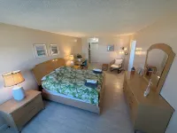 Dolphin Beach condo with indoor pool, ocean views, steps to the beach