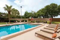 Embassy Suites by Hilton Orlando International Drive ICON Park - Uima-altaat