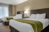 Comfort Inn Hotels in Dunbar Township
