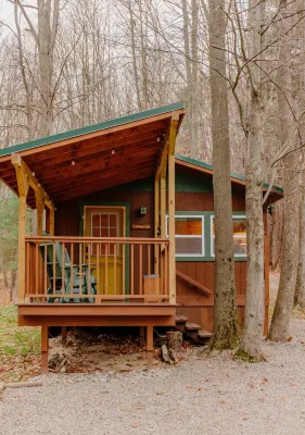 Cozy Cabin with private woods in charming Rock Stream NY.