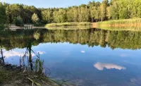 Vacation home near Kiessee - very quiet surroundings