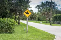 Little Ranches Retreat in the Heart of Equestrian Community Hotels in Wellington