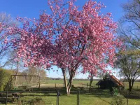 Holiday Home in Donkerbroek Near Forest Trails Hotels in Ooststellingwerf