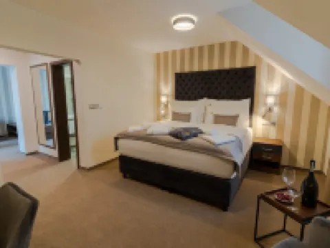 Wellness Hotel Demänová Hotels in Liptovsky Mikulas