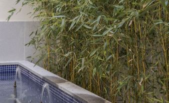 Palacio Tirso de Molina - the Arc Collection