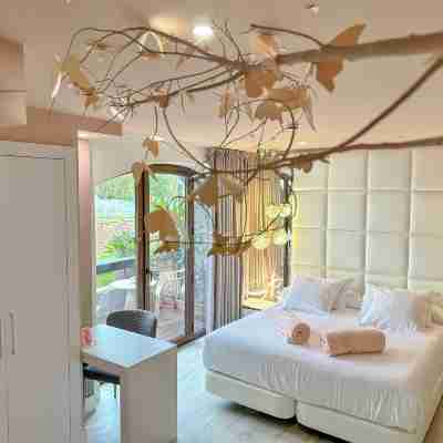 Hotel Cuevas - Adults Only Rooms