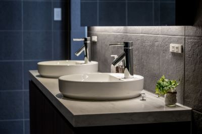 その他 Jade Rabbitの写真