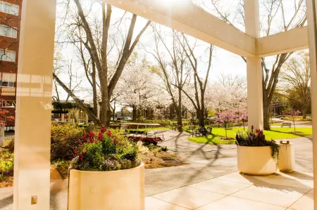 The University of Georgia Center for Continuing Education & Hotel Отели в г. Кларк