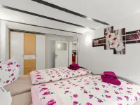 迷人鄰里的公寓