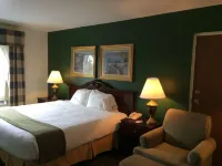 Ruskin Inn Tampa-Sun City Center - WiFi
