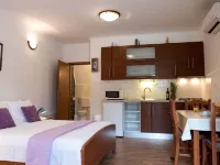Villa with with 5 Apartments in Peracko Blato