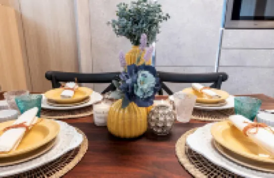 卡託裏卡的仁慈23號