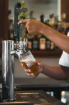 Hotel Playa Cambutal - bar