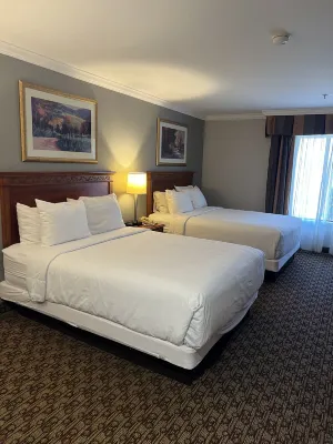 Hotel Xola
