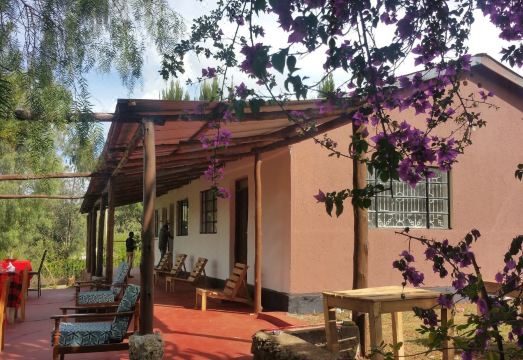 Foresight Eco Lodge & Safari - Housity