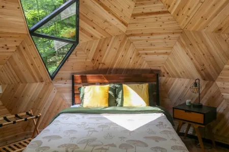 Amanita Dome. All-Inclusive Food and Drinks.