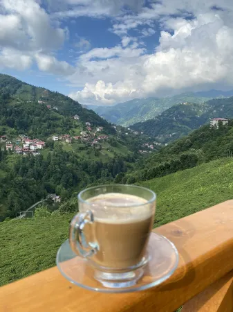 Afram Bungalov Отели в г. Camlitepe Koyu